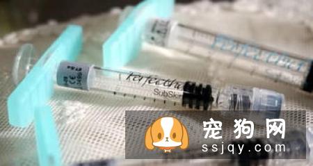 宠物泪痕产生的原因及解决办法