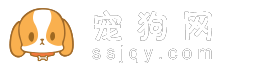 宠狗网